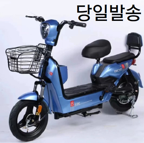 전기 전동 자전거 48V30A리튬 분리충전가능 새제품 자토바이 소형오토바이 이미지