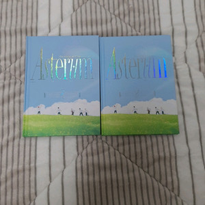 플레이브 육여름 엘범