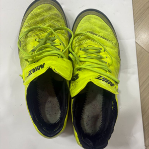 티엠포프록시모 tf 260