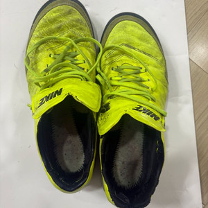 티엠포프록시모 tf 260