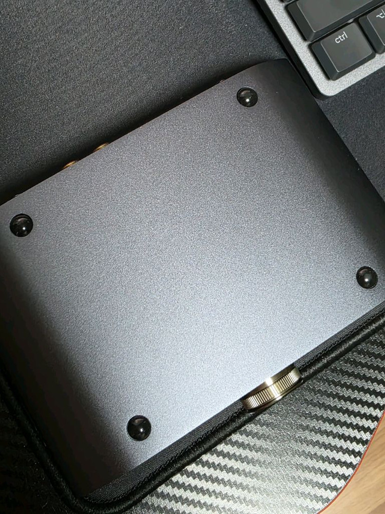 iFi ZEN CAN 3 헤드폰 앰프--3