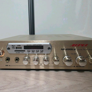 AEPEL AP-200U2 미니 앰프