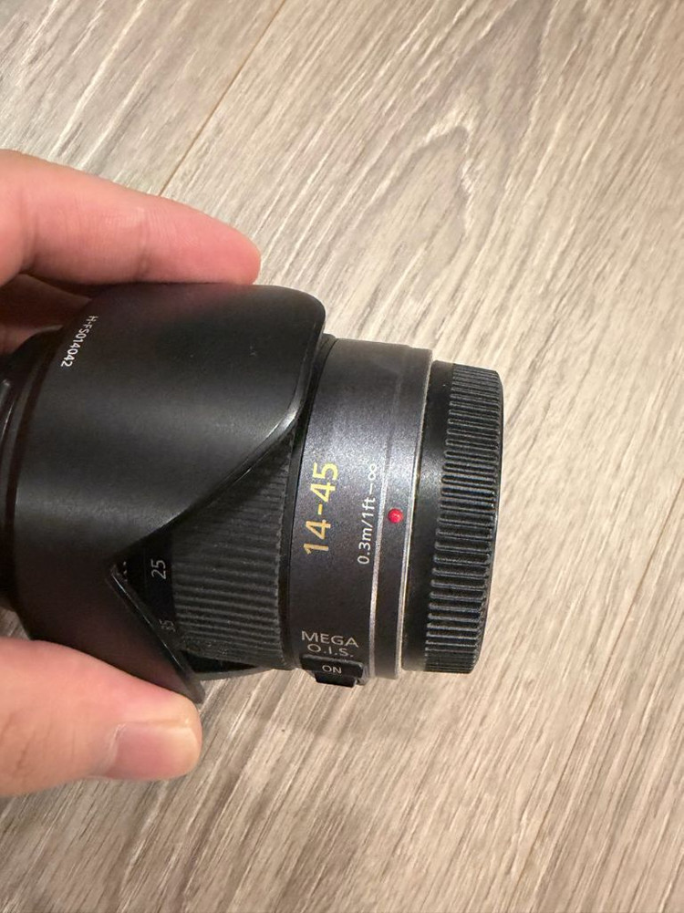 루믹스 GF2 카메라--4