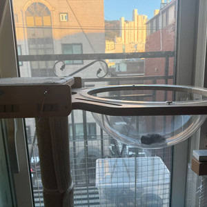 그린웨일 투명해먹 라지사이즈 이미지