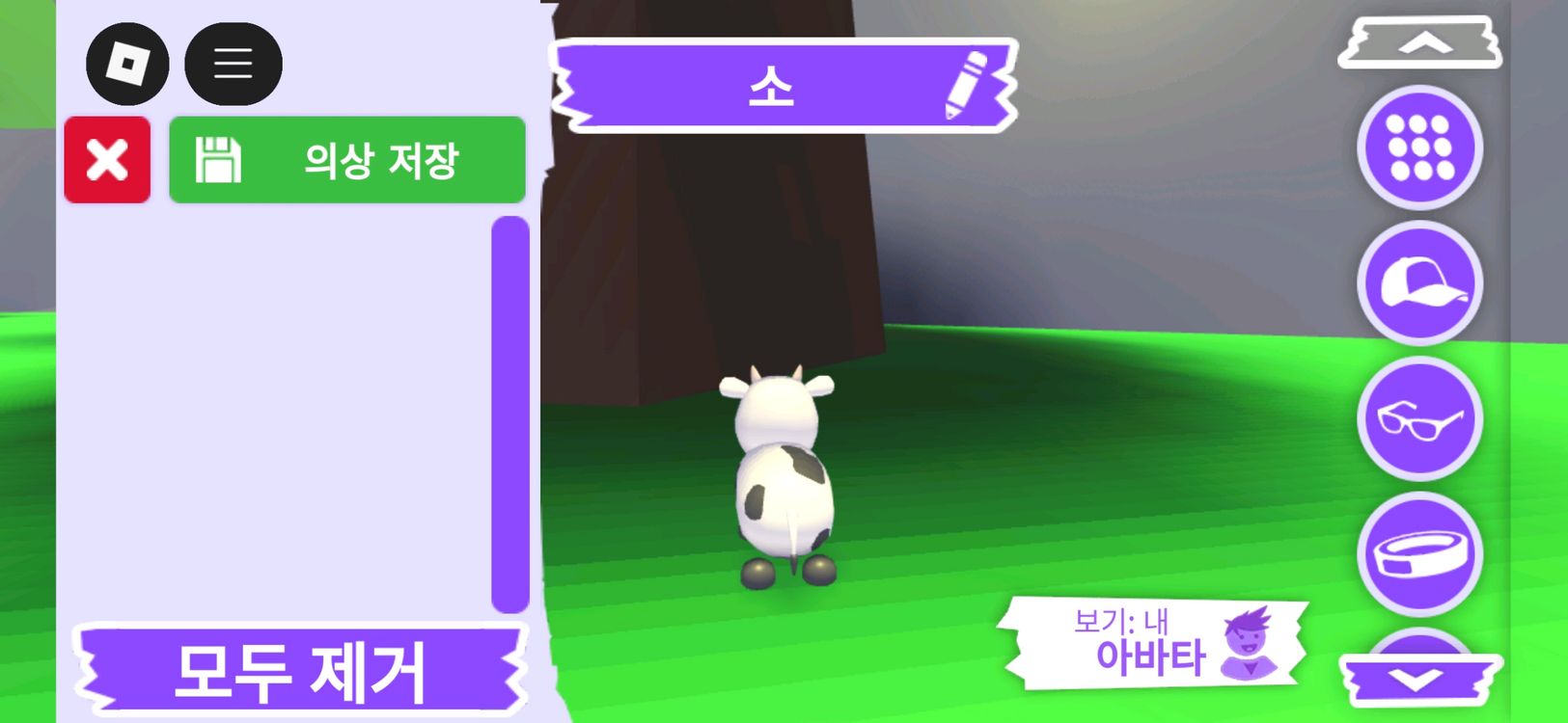 입양하세요 펫 소(젖소) 판매합니다 이미지