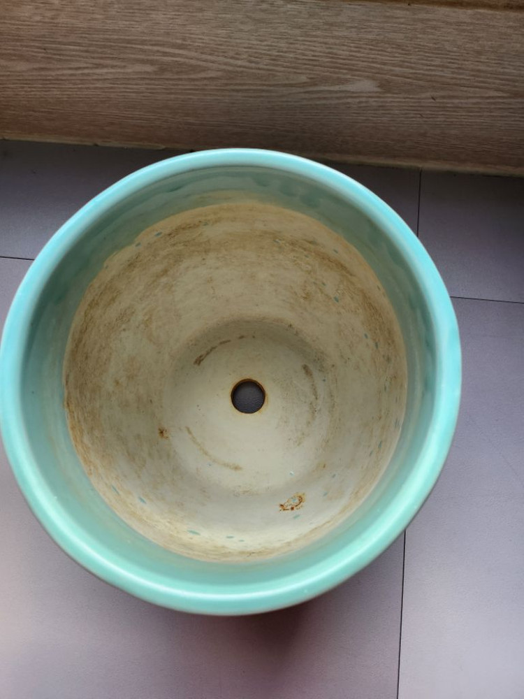 청자화분 중형 18cm 도자기화분 원통화분 원예 식물--1