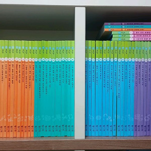 교원 레드펜 코딩 80권