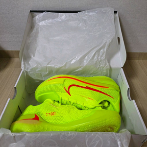 GT CUT EYBL Volt (지티컷 1 일반 EYBL 볼트, 형광)