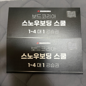 보드코리아 스노우보딩 강습권 2매일괄