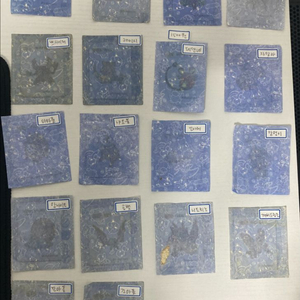 포켓몬스터 띠부띠부씰 이미지