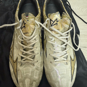 미즈노 알파 재팬