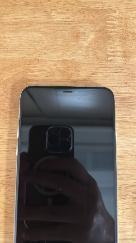 아이폰11프로 맥스 256 실버--4