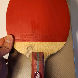 DHS 팡보 B2 중펜