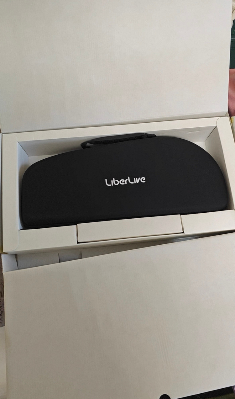 liberlive 전자기타 팝니다--2