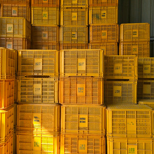 농산물용 콘테이너상자