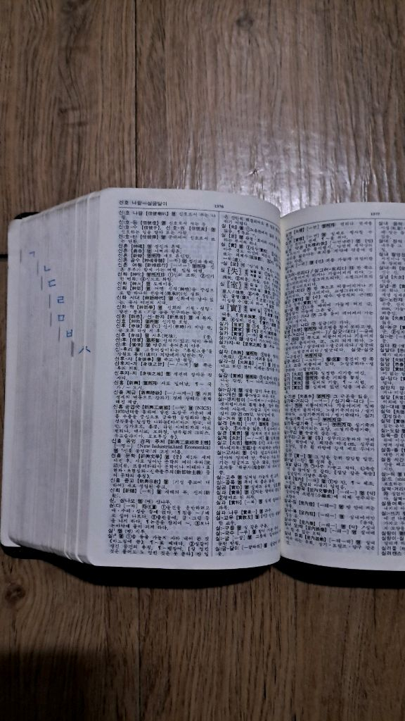 엣센스 국어사전 1만원--2