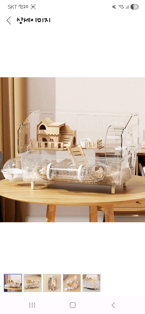 일산) 피그미다람쥐 8개월 + 용품 이미지