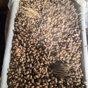 수제전통 청국장