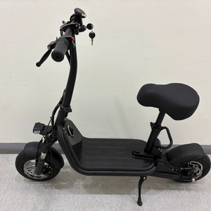 전동 전기 스쿠터 킥보드 접이식 미니 오토바이 48V 10AH 800W
