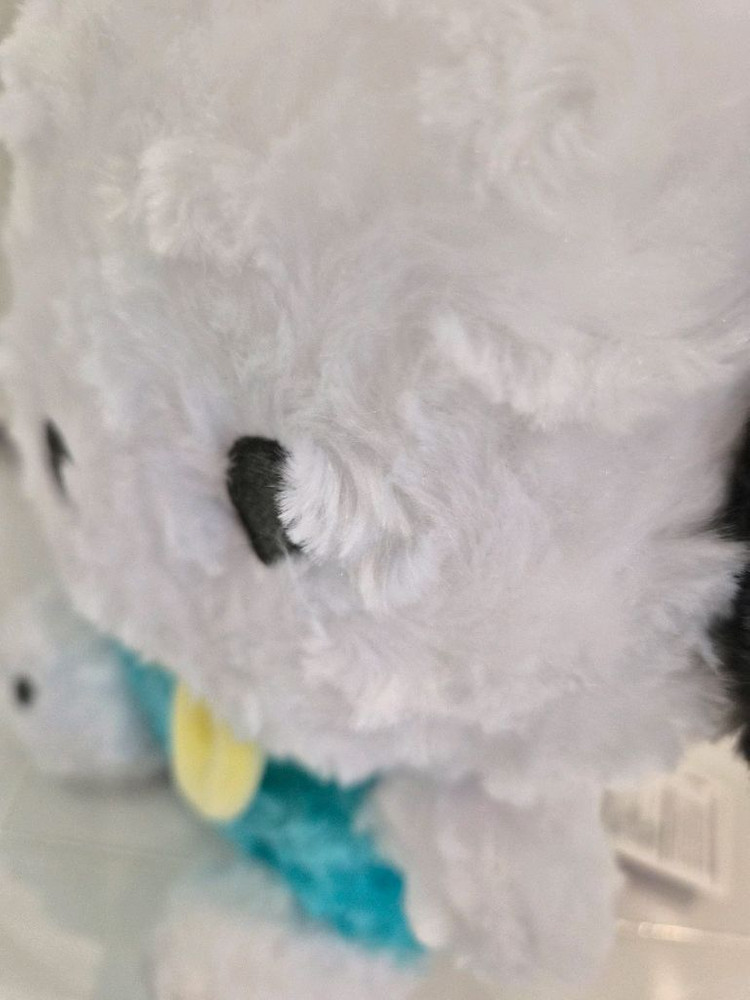 산리오의 귀여운 포차코 봉제인형(새상품)--3