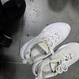 아디다스 운동화 265