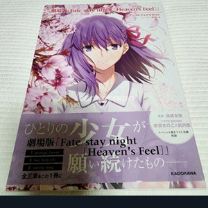 극장판 페이트 스테이 나이트 헤븐즈필 아니메 비주얼 가이드 이미지