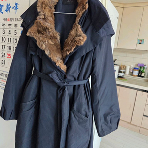 필로덴드론 플로리다 뷰티바리에가타.에피스시아 덤. 에피스시아 에메랄드벨벳 덤