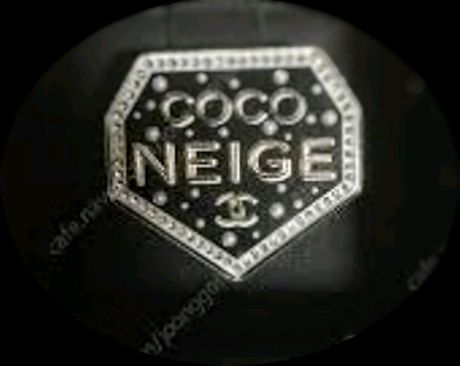 샤넬 코코네쥬 브로치- 모델 A53227 정품--2