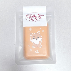 *개당가격* 데이식스콘서트md 쁘띠멀즈 맥세이프카드지갑 케/방돈필