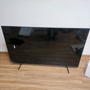 55인치 OLED TV