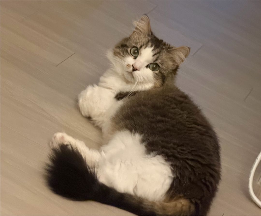 프로필 이미지