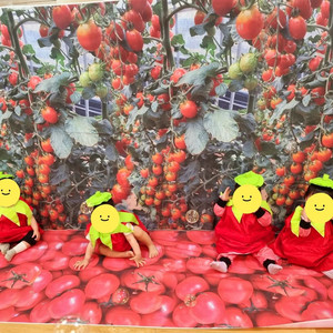 영유아 교구 수업 교구 및 커리큘럼 매각