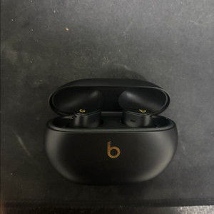 비츠 스튜디오 버즈 플러스 핍니다