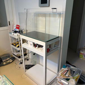 올디아망 2자 중폭 어항 + 축양장 팝니다