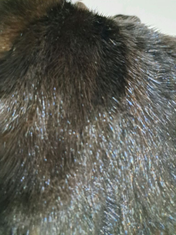 검정 후드 블랙 퍼 베스트--5