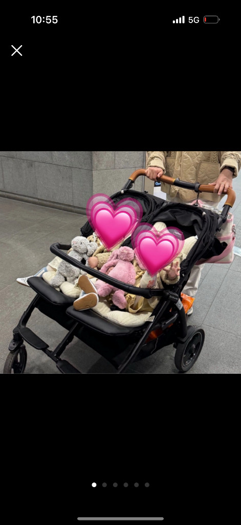 빼그빼레고 북포투 쌍둥이 유모차 이미지