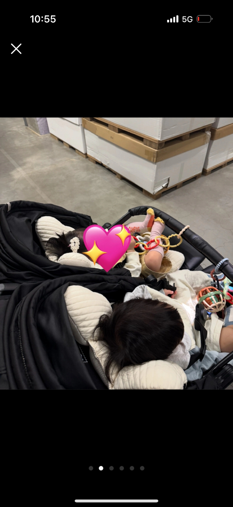 빼그빼레고 북포투 쌍둥이 유모차 이미지