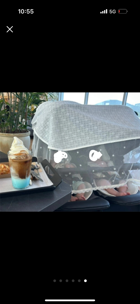 빼그빼레고 북포투 쌍둥이 유모차 이미지