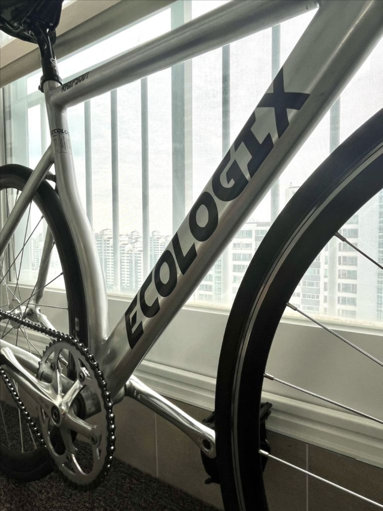 에콜로직스 랩소디 급처 이미지