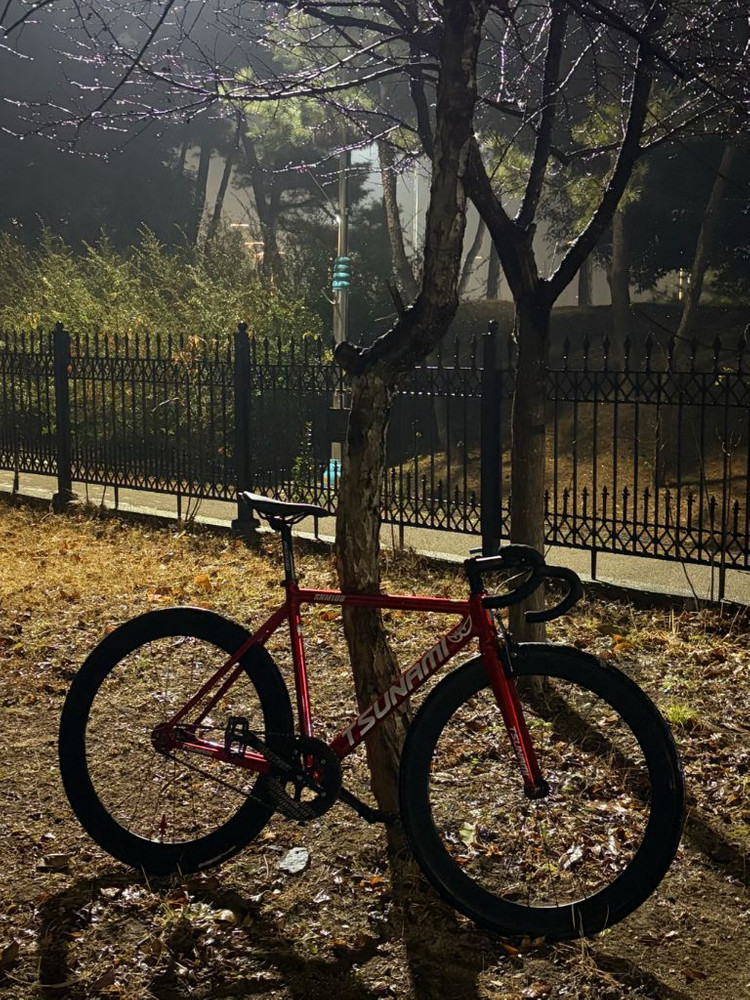 쓰나미 레드와인 픽시 교신--1