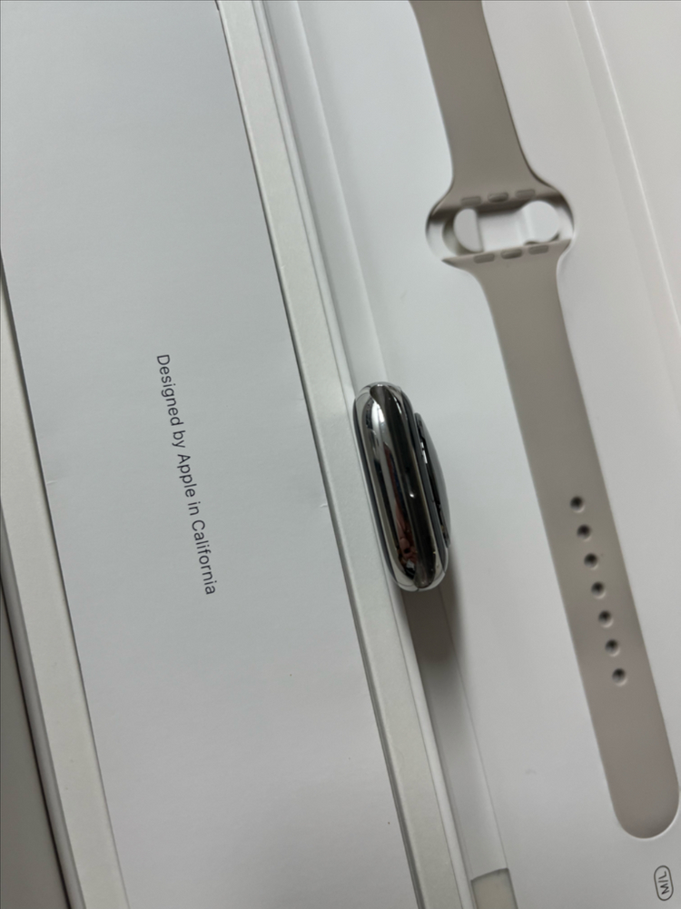 애플워치8스테인리스 45mm 실버 SSS급--5