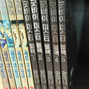 굿바이 미스터블랙 1~5(완결) 만화