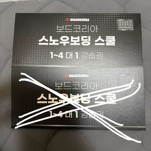 보드코리아 스노우보딩 강습권 1장