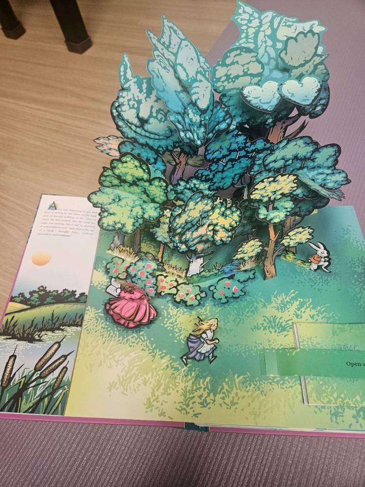 앨리스 3d 팝업북(로버트 사부다)--1