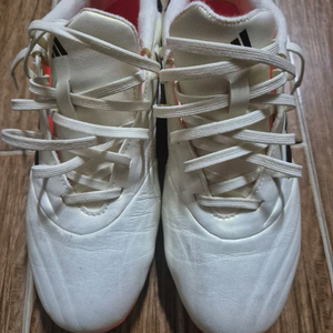 아디다스 코파퓨어축구화 255