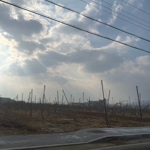 무주 시즌권 구해요 이미지