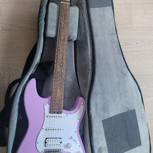 헥스 E100s/pu 라벤더 일렉 기타 풀세트