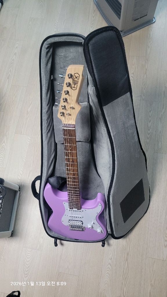 헥스 E100s/pu 라벤더 일렉 기타 풀세트--1