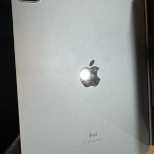 아이패드 프로 5세대 11인치