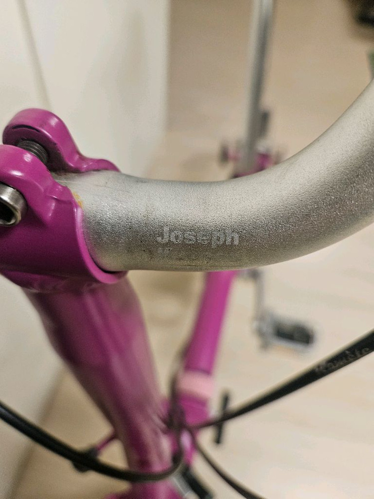 브롬톤 베리크러쉬 m2E 팝니다--2